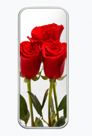 PIÓRNIK METALOWY ,,Z RÓŻĄ,,