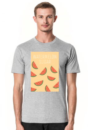 Koszulka Watermelon Sugar poster