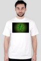 weed