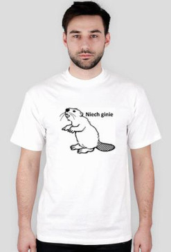 niech ginie