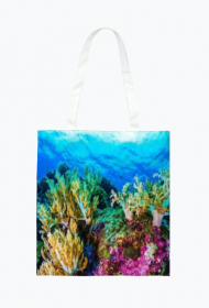 ECO TORBA ,,RAFA KORALOWA,,