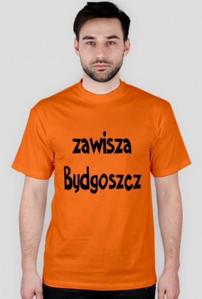 zawisza bydgoszcz