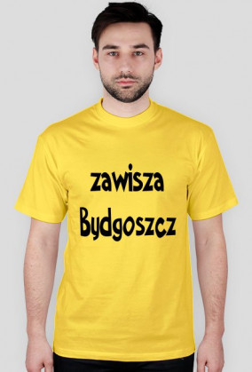 zawisza bydgoszcz