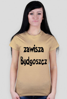 zawisza bydgoszcz