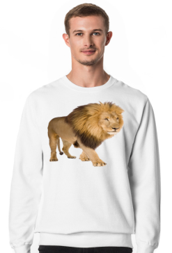 BLUZA MĘSKA ,,LEW,,