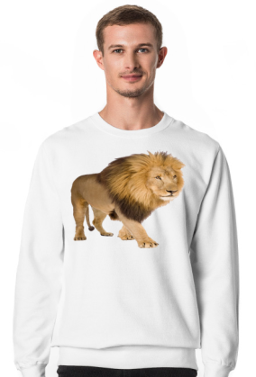 BLUZA MĘSKA ,,LEW,,