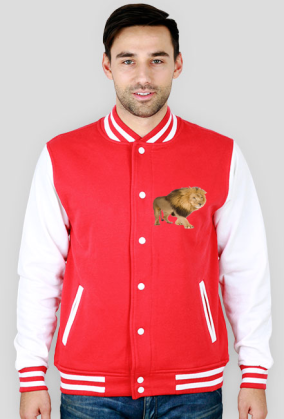 BLUZA MĘSKA ,,LEW,,