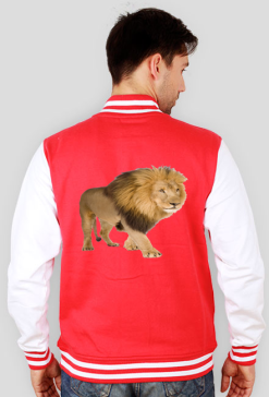 BLUZA MĘSKA ,,LEW,,