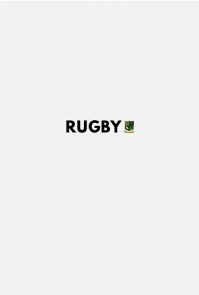 Koszulka Rugby v2 biała/różowa/zielona damska