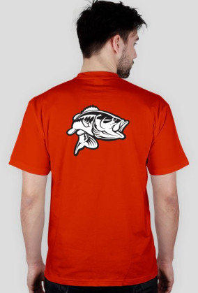 CatchFish 2