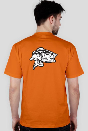 CatchFish 2