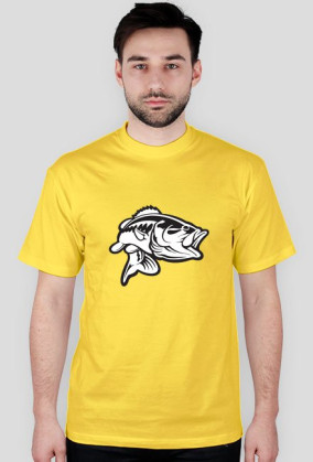 CatchFish 2