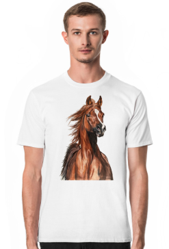 Koń arabski portret