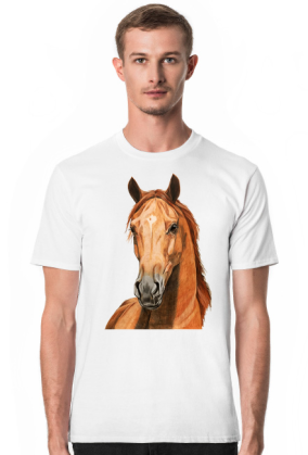 Portret koń kasztan