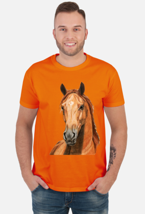 Portret koń kasztan