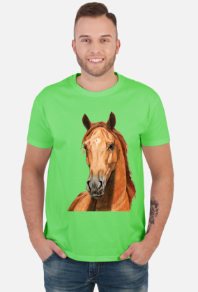 Portret koń kasztan