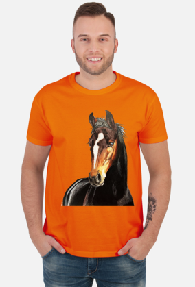 Portret koń kary