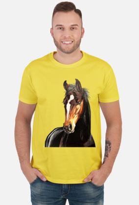 Portret koń kary
