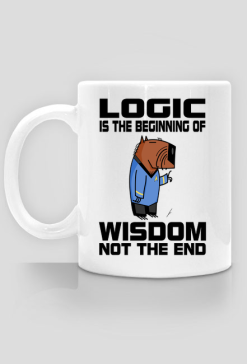 Sensei Kap Ibara - logic is the beginning of wisdom