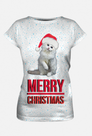 Merry Christmas KOT kitten