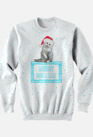 Lovely Merry Christmas Kitten