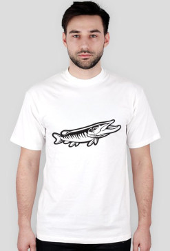 CatchFish 3