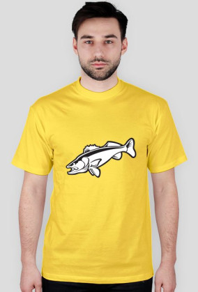 CatchFish 4