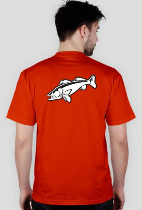 CatchFish 4