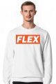 FLEX one