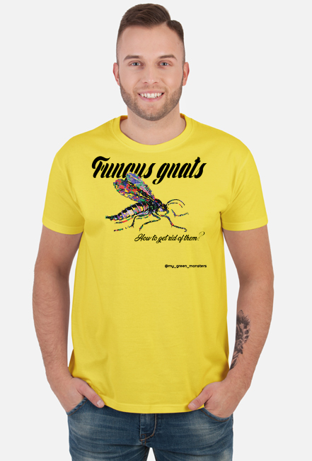 Fungus gnats My Green Monsters