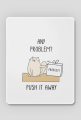 NO PROBLEM