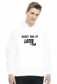 Just do it LATER - Panda (bluza męska kaptur) cg