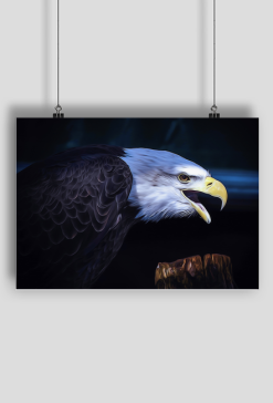 Plakat A2 Poziomy Orzel