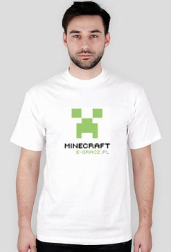 Minecraft 1