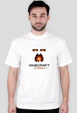 Minecraft 2