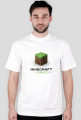Minecraft 3