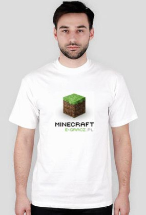 Minecraft 3