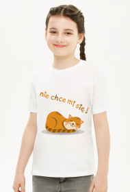 Śpiący rudy kot - Nie chce mi się