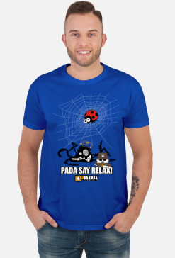 Sieć pająk biedronka. Pada