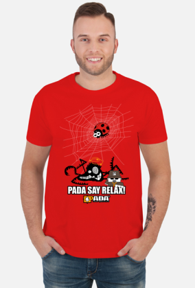 Sieć pająk biedronka. Pada