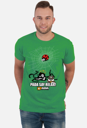 Sieć pająk biedronka. Pada