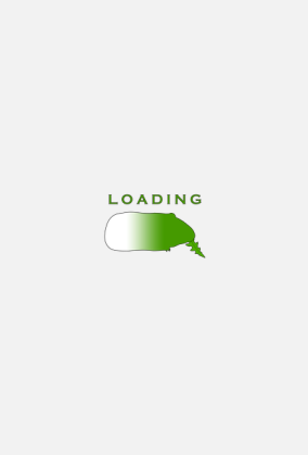 Koszulka "Loading" Damska