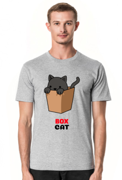 Box Cat