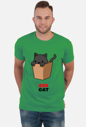 Box Cat