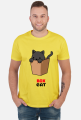 Box Cat