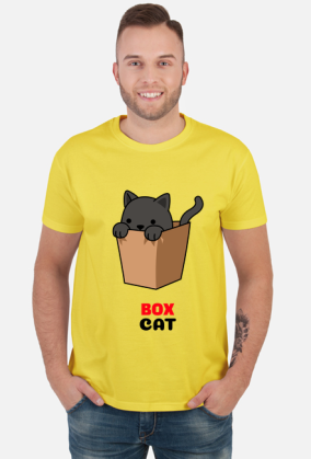 Box Cat
