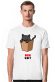 Box Cat