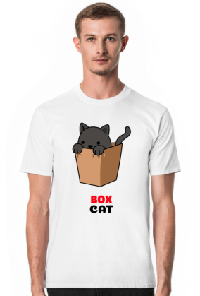 Box Cat