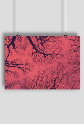 Plakat Forest