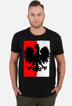 Koszulka Orzeł z flagą Polski koszulki patriotyczne, koszulka narodowca dla patrioty